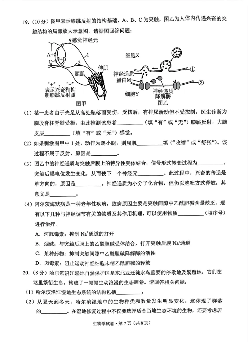 德宏州2026届高三年级开学定位监测生物_2025年9月_250923云南省德宏州2026届高三年级开学定位监测（全科）