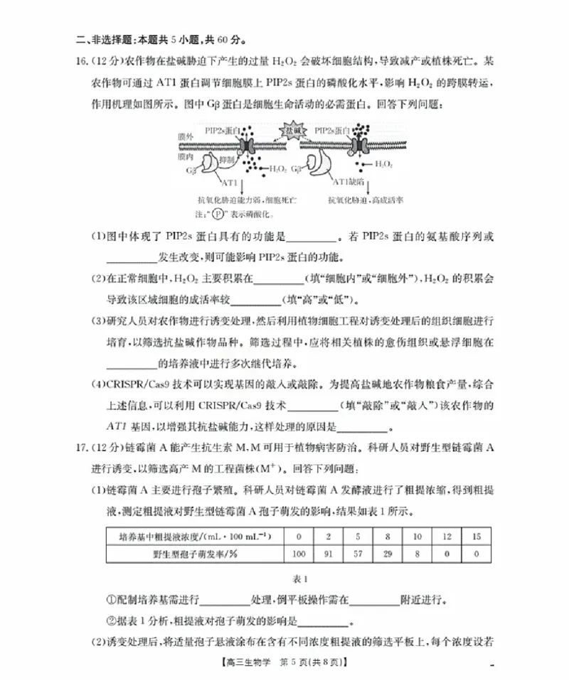 福建省金太阳2026届高三9月开学联考（26-17C）生物_2025年9月_250910金太阳&middot;福建省2026届高三9月开学联考（26-17C）（全科）