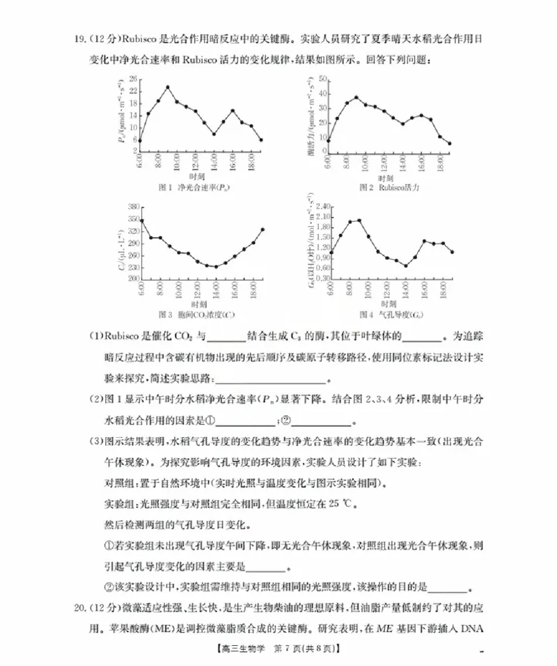 福建省金太阳2026届高三9月开学联考（26-17C）生物_2025年9月_250910金太阳&middot;福建省2026届高三9月开学联考（26-17C）（全科）