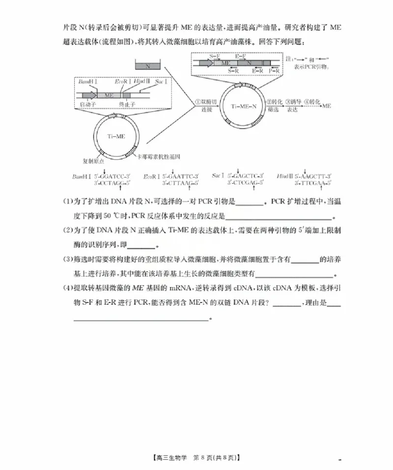 福建省金太阳2026届高三9月开学联考（26-17C）生物_2025年9月_250910金太阳&middot;福建省2026届高三9月开学联考（26-17C）（全科）
