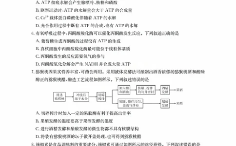 福建省金太阳2026届高三9月开学联考（26-17C）生物_2025年9月_250910金太阳&middot;福建省2026届高三9月开学联考（26-17C）（全科）