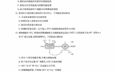 福建省金太阳2026届高三9月开学联考（26-17C）生物_2025年9月_250910金太阳&middot;福建省2026届高三9月开学联考（26-17C）（全科）