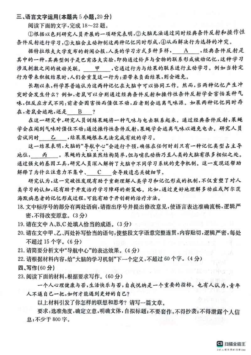 语文_2025年4月_250411山西、陕西、宁夏、青海四省区普通高中新高考高三质量检测金太阳4月联考（全科）_语文