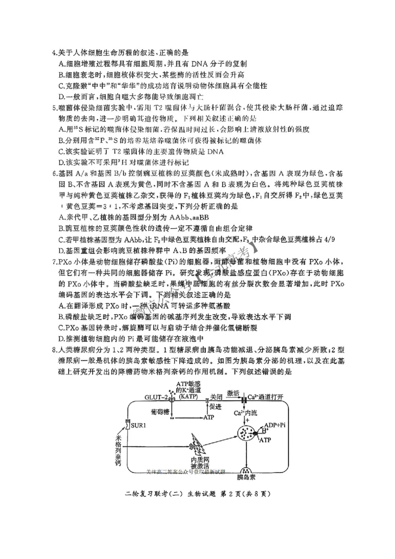 生物_2025年4月_2504252025届河南省百师联盟高三下学期4月二轮复习联考_生物