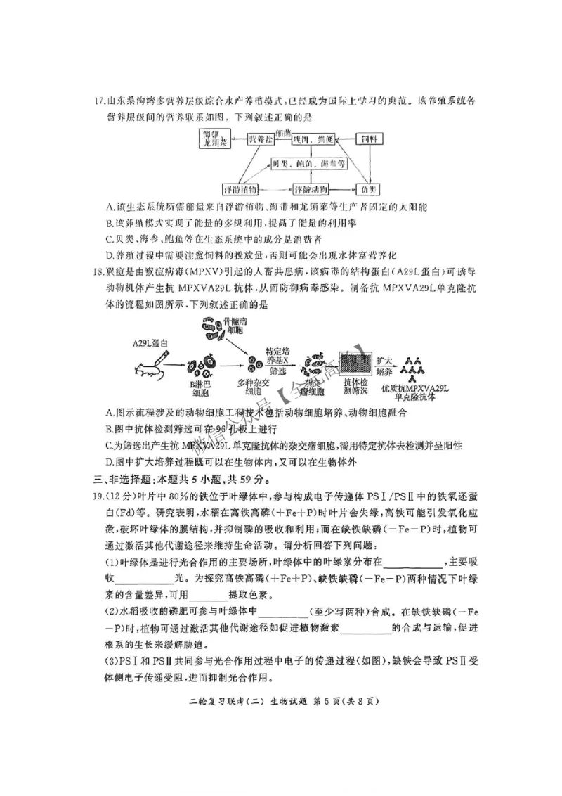 生物_2025年4月_2504252025届河南省百师联盟高三下学期4月二轮复习联考_生物