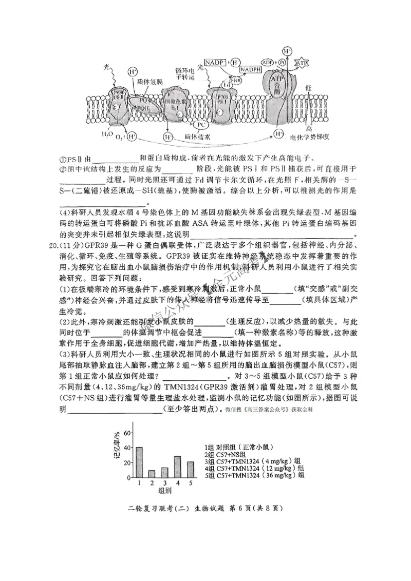 生物_2025年4月_2504252025届河南省百师联盟高三下学期4月二轮复习联考_生物