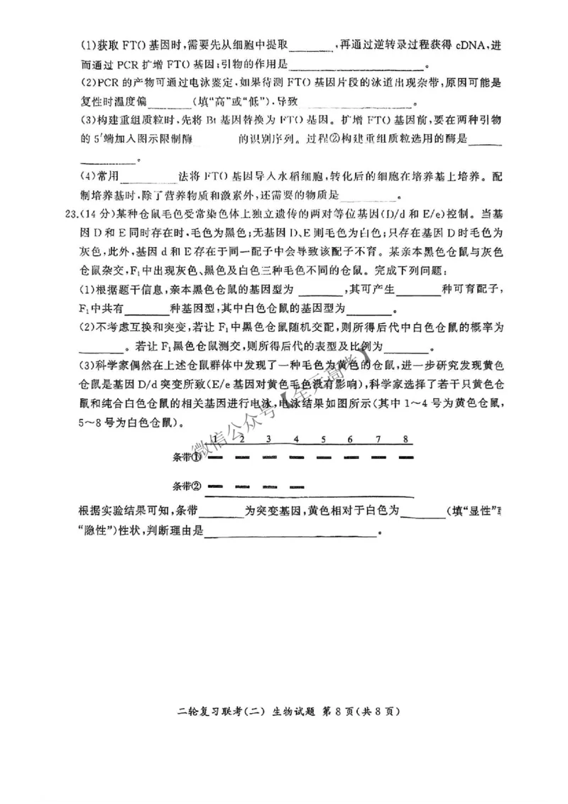 生物_2025年4月_2504252025届河南省百师联盟高三下学期4月二轮复习联考_生物