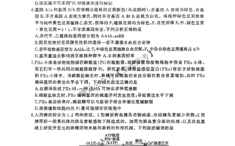 生物_2025年4月_2504252025届河南省百师联盟高三下学期4月二轮复习联考_生物