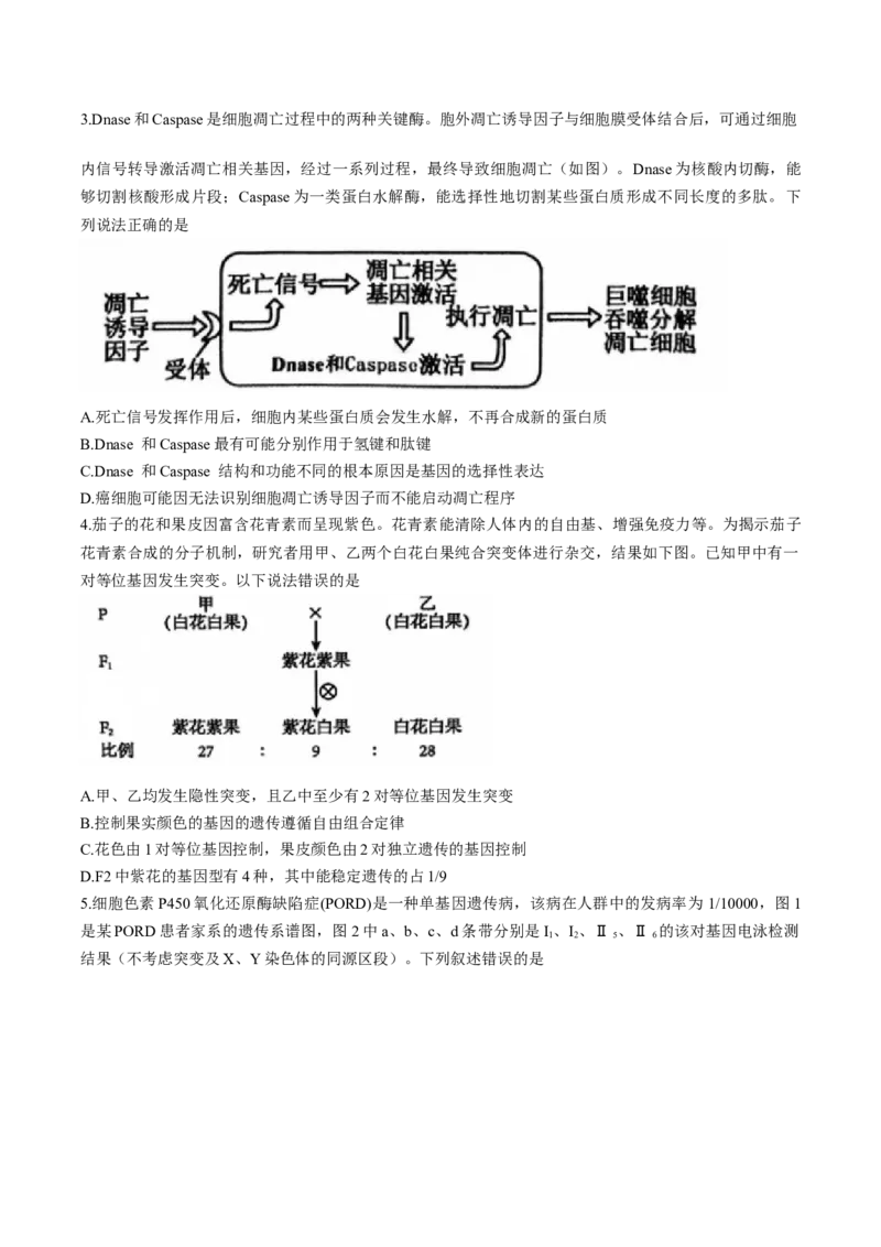 河南省三门峡市2025届高三上学期第一次大练习试题（期末）生物Word版含解析_2025年1月_250115河南省三门峡市2025届高三上学期第一次大练习试题（期末）（全科）