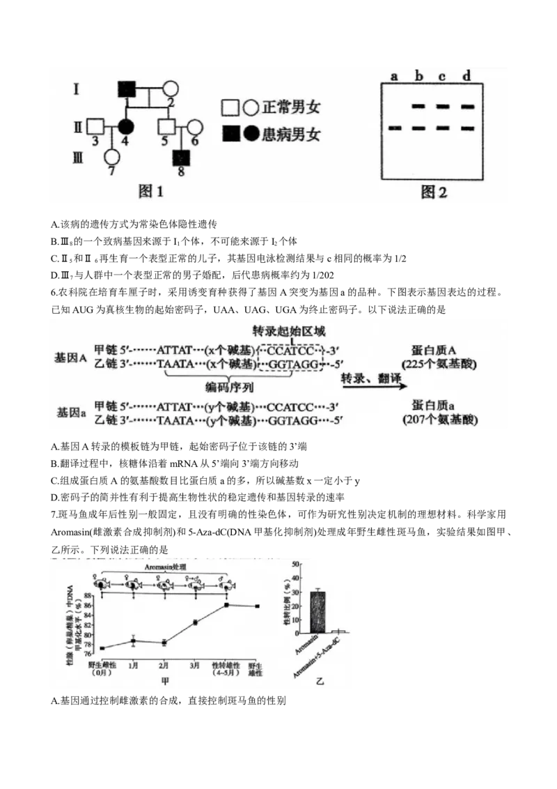 河南省三门峡市2025届高三上学期第一次大练习试题（期末）生物Word版含解析_2025年1月_250115河南省三门峡市2025届高三上学期第一次大练习试题（期末）（全科）
