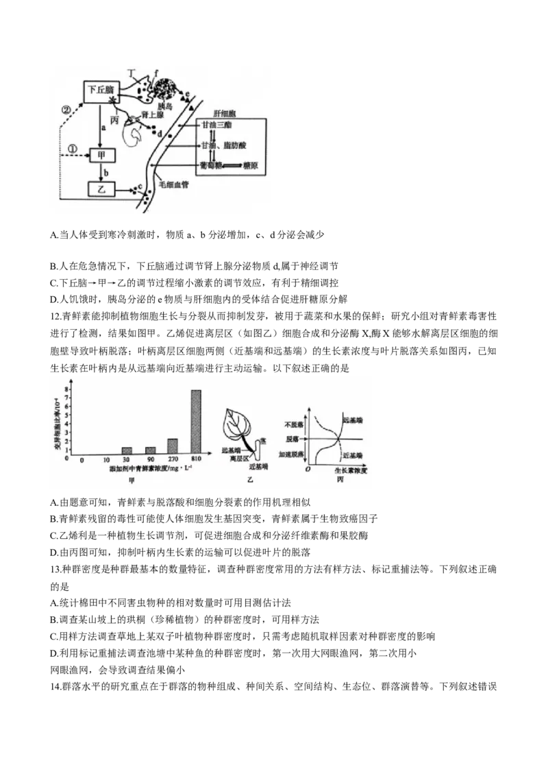 河南省三门峡市2025届高三上学期第一次大练习试题（期末）生物Word版含解析_2025年1月_250115河南省三门峡市2025届高三上学期第一次大练习试题（期末）（全科）