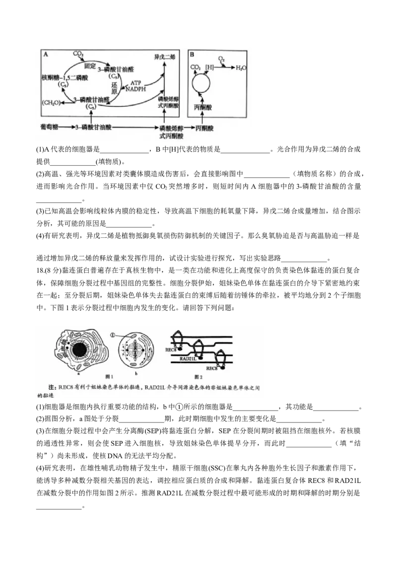 河南省三门峡市2025届高三上学期第一次大练习试题（期末）生物Word版含解析_2025年1月_250115河南省三门峡市2025届高三上学期第一次大练习试题（期末）（全科）