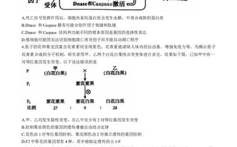 河南省三门峡市2025届高三上学期第一次大练习试题（期末）生物Word版含解析_2025年1月_250115河南省三门峡市2025届高三上学期第一次大练习试题（期末）（全科）
