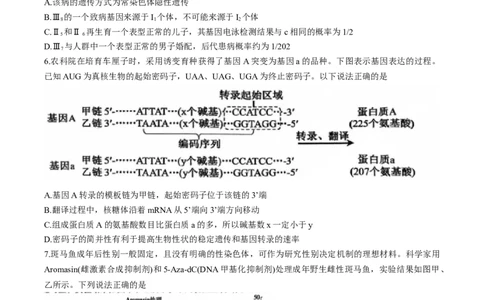河南省三门峡市2025届高三上学期第一次大练习试题（期末）生物Word版含解析_2025年1月_250115河南省三门峡市2025届高三上学期第一次大练习试题（期末）（全科）