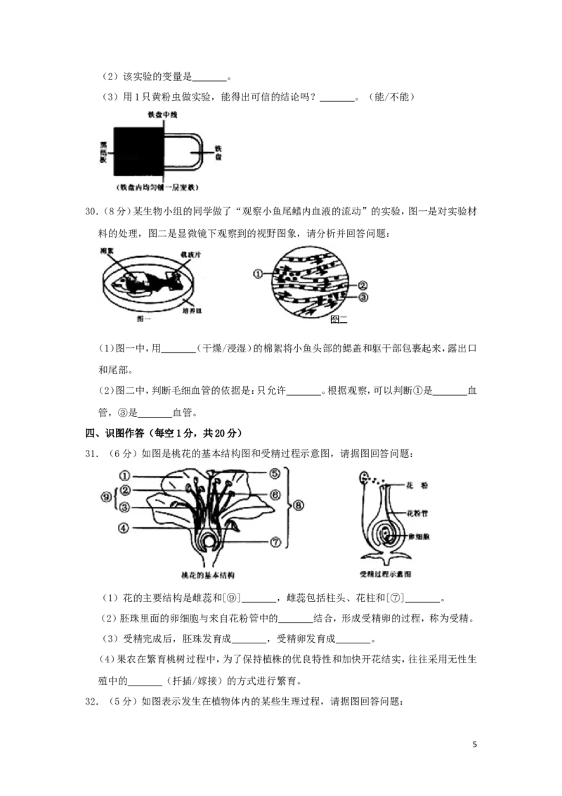 黑龙江省齐齐哈尔市2019年中考生物真题试题（含解析）_中考真题_8.生物中考真题2015-2024年_2019年全国中考生物92份