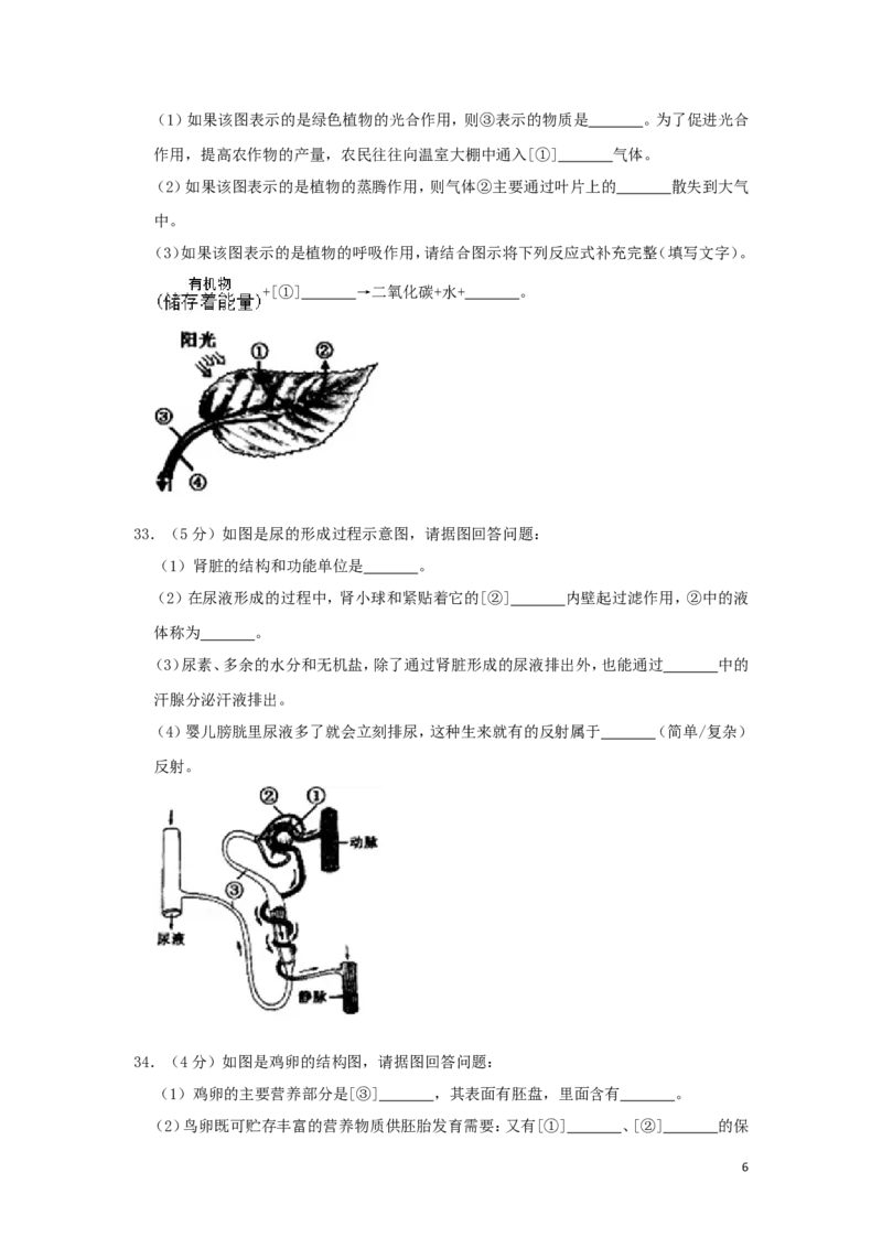 黑龙江省齐齐哈尔市2019年中考生物真题试题（含解析）_中考真题_8.生物中考真题2015-2024年_2019年全国中考生物92份
