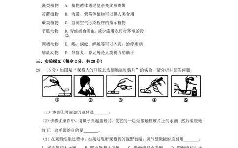 黑龙江省齐齐哈尔市2019年中考生物真题试题（含解析）_中考真题_8.生物中考真题2015-2024年_2019年全国中考生物92份