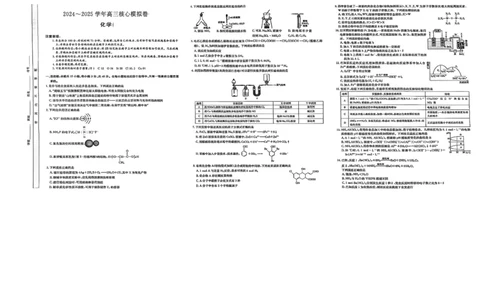 湖北省黄冈市2025届高三下学期核心预测卷化学_2025年2月_2502282025届高三下学期核心预测卷（全科）