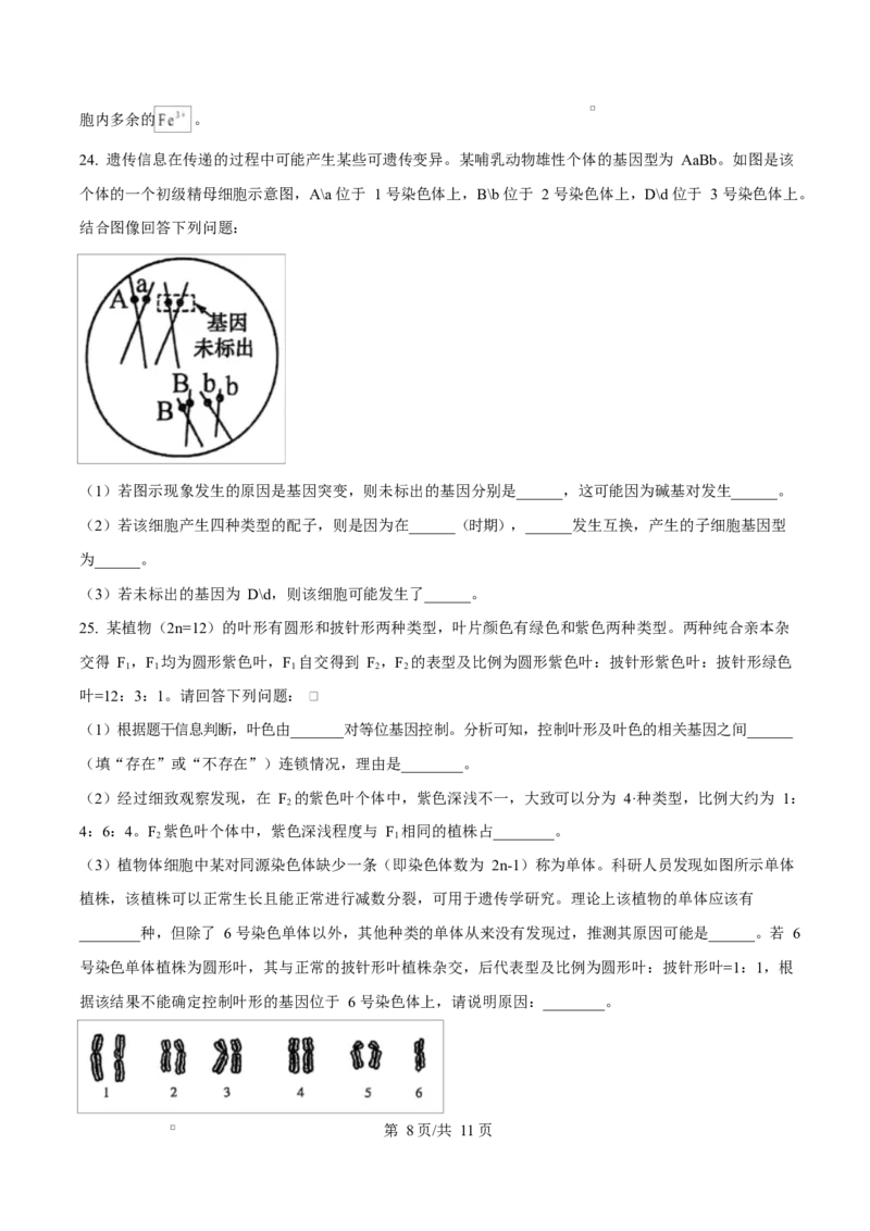 吉林省吉林市第一中学2026届高三上学期第一次质量检测+生物试题（含答案）_2025年10月_12026年试卷教辅资源等多个文件_生物