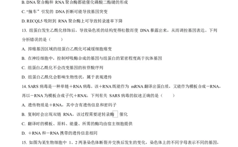 吉林省吉林市第一中学2026届高三上学期第一次质量检测+生物试题（含答案）_2025年10月_12026年试卷教辅资源等多个文件_生物