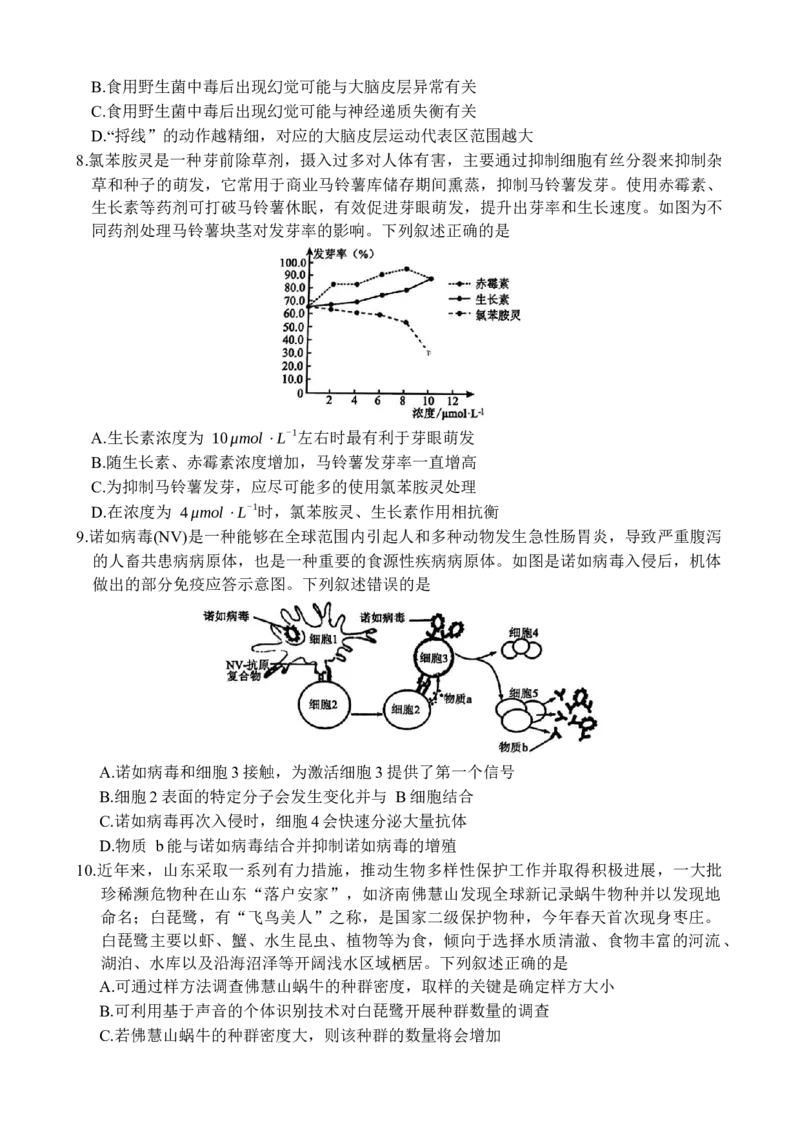 山东省德州市十校联考2024-2025学年高三下学期4月模拟生物试题_2025年4月_250408衡水金卷2025届高三年级4月份模拟考（全科）_衡水金卷2025届高三年级4月份模拟考生物试题