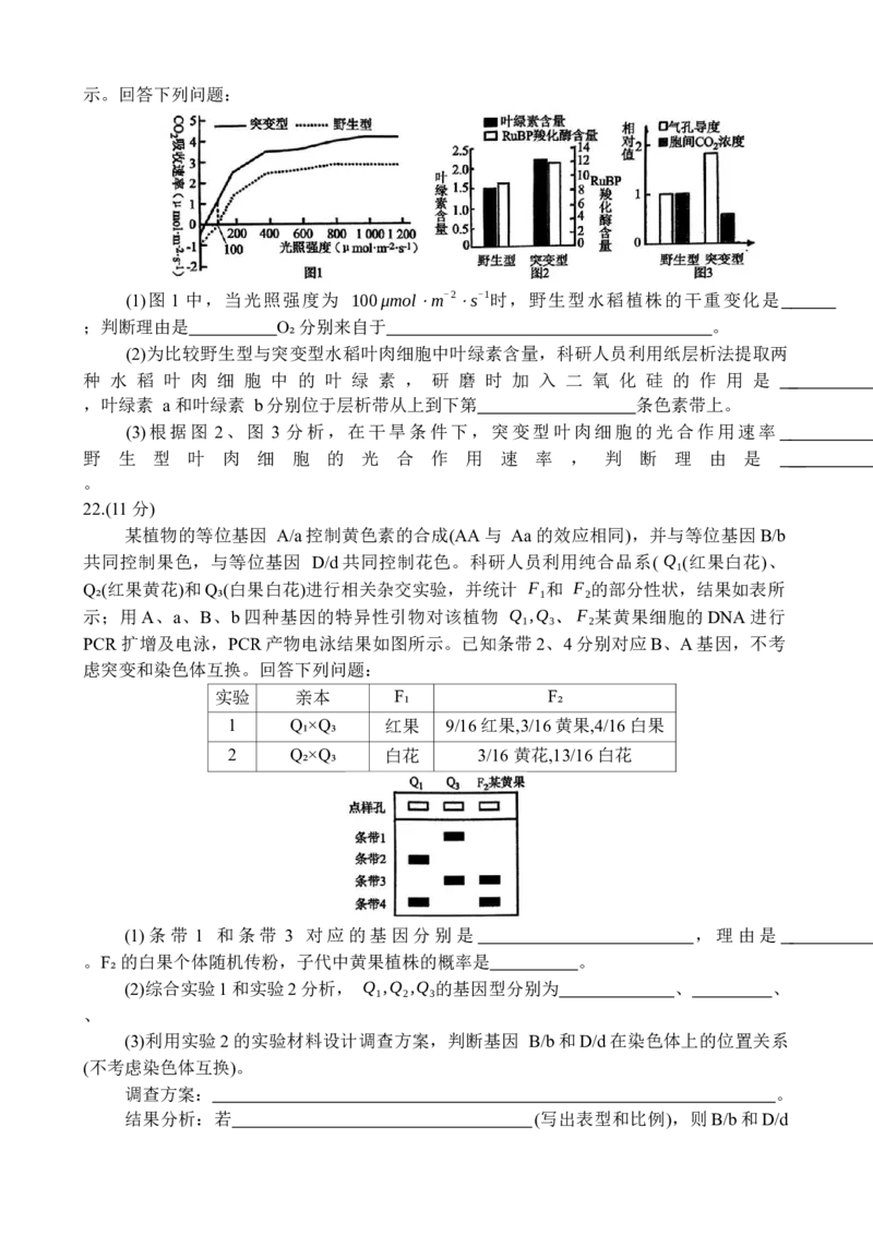 山东省德州市十校联考2024-2025学年高三下学期4月模拟生物试题_2025年4月_250408衡水金卷2025届高三年级4月份模拟考（全科）_衡水金卷2025届高三年级4月份模拟考生物试题