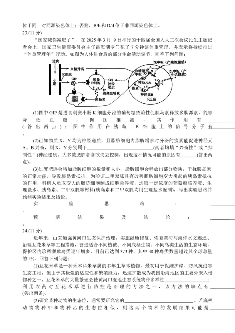 山东省德州市十校联考2024-2025学年高三下学期4月模拟生物试题_2025年4月_250408衡水金卷2025届高三年级4月份模拟考（全科）_衡水金卷2025届高三年级4月份模拟考生物试题