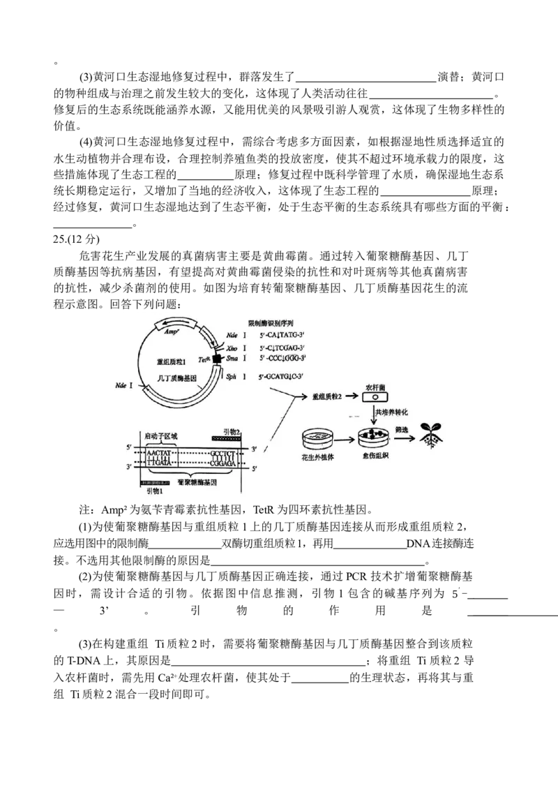 山东省德州市十校联考2024-2025学年高三下学期4月模拟生物试题_2025年4月_250408衡水金卷2025届高三年级4月份模拟考（全科）_衡水金卷2025届高三年级4月份模拟考生物试题