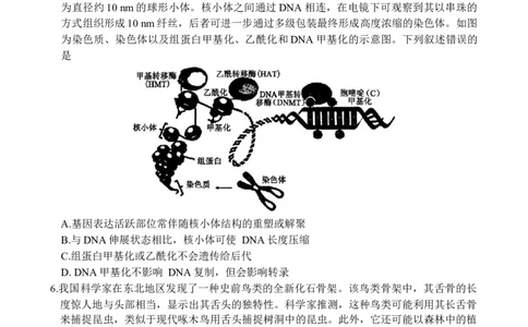 山东省德州市十校联考2024-2025学年高三下学期4月模拟生物试题_2025年4月_250408衡水金卷2025届高三年级4月份模拟考（全科）_衡水金卷2025届高三年级4月份模拟考生物试题