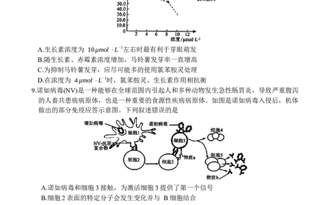 山东省德州市十校联考2024-2025学年高三下学期4月模拟生物试题_2025年4月_250408衡水金卷2025届高三年级4月份模拟考（全科）_衡水金卷2025届高三年级4月份模拟考生物试题