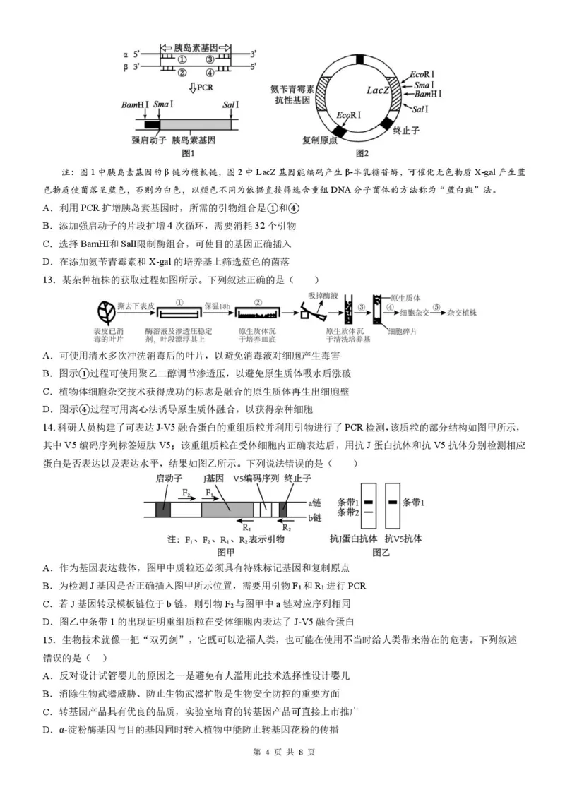 四川省成都市石室中学2025-2026学年高三上学期10月月考+生物_2025年10月_251016四川省成都市石室中学2025-2026学年高三上学期10月月考（全科）