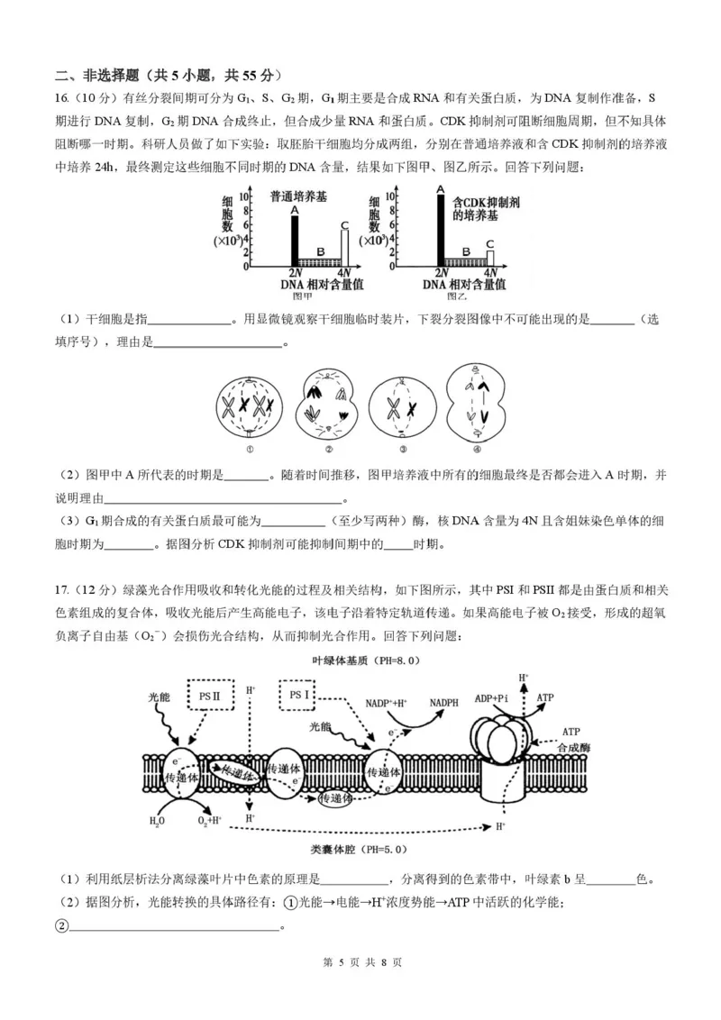 四川省成都市石室中学2025-2026学年高三上学期10月月考+生物_2025年10月_251016四川省成都市石室中学2025-2026学年高三上学期10月月考（全科）