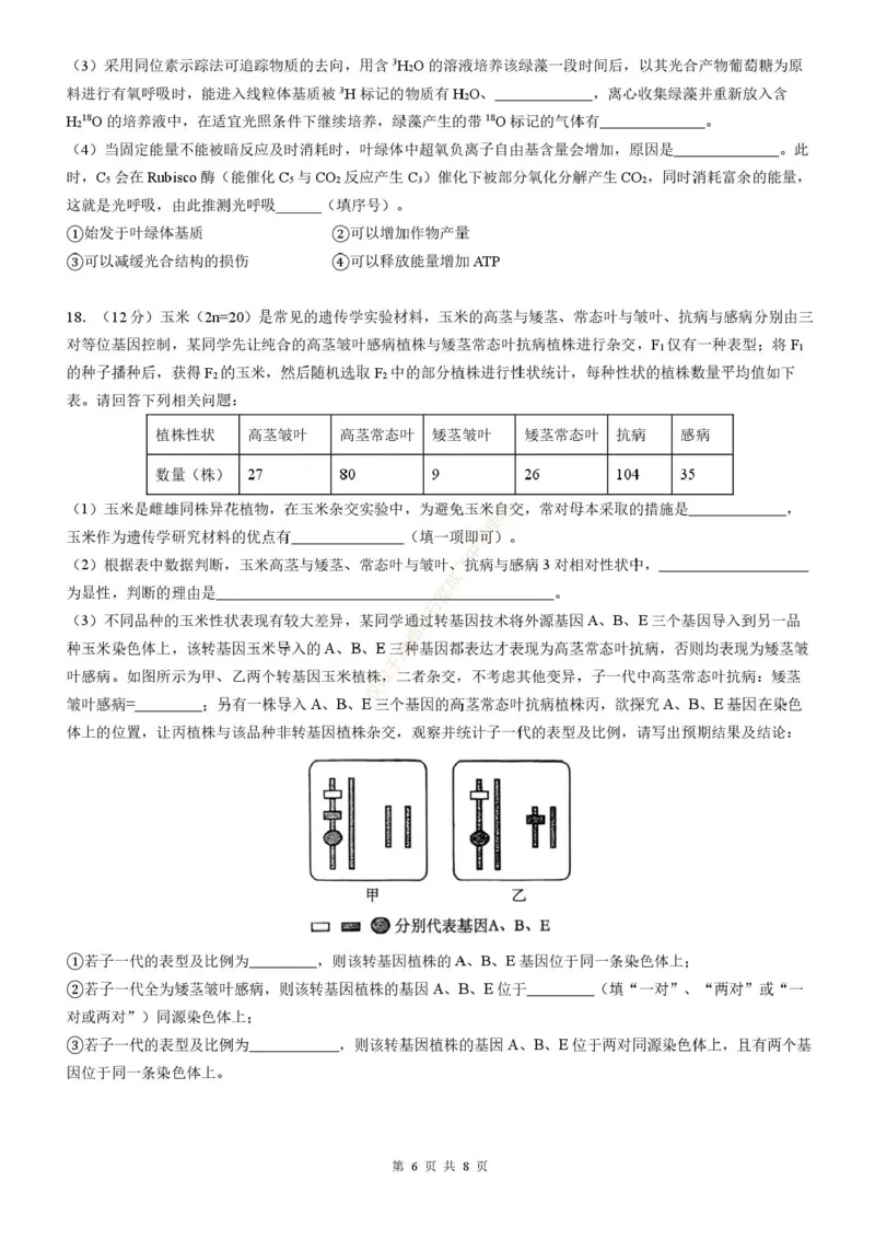 四川省成都市石室中学2025-2026学年高三上学期10月月考+生物_2025年10月_251016四川省成都市石室中学2025-2026学年高三上学期10月月考（全科）