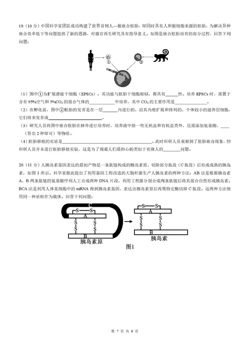 四川省成都市石室中学2025-2026学年高三上学期10月月考+生物_2025年10月_251016四川省成都市石室中学2025-2026学年高三上学期10月月考（全科）