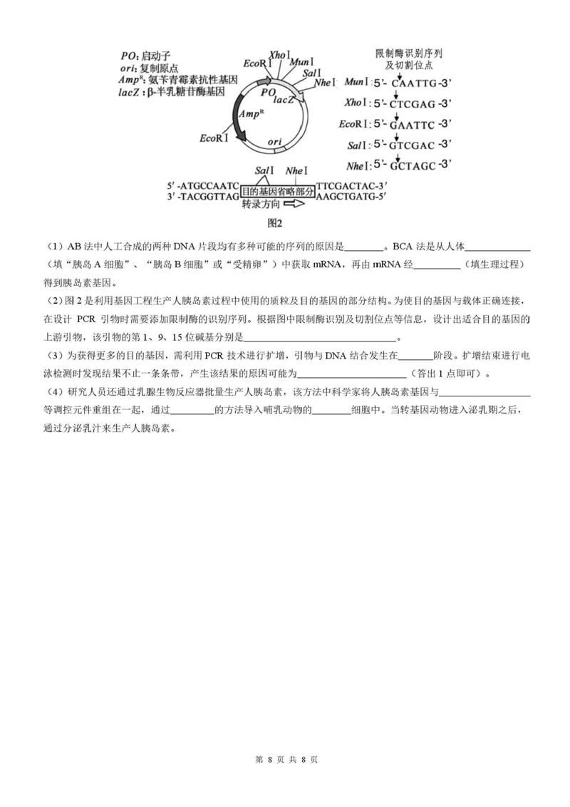 四川省成都市石室中学2025-2026学年高三上学期10月月考+生物_2025年10月_251016四川省成都市石室中学2025-2026学年高三上学期10月月考（全科）