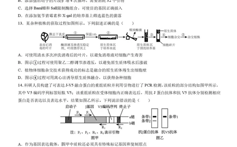 四川省成都市石室中学2025-2026学年高三上学期10月月考+生物_2025年10月_251016四川省成都市石室中学2025-2026学年高三上学期10月月考（全科）
