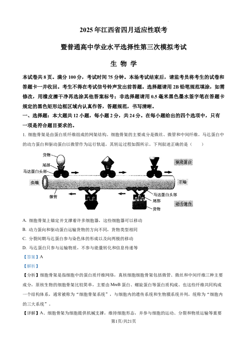精品解析：2025届江西省高三4月适应性统考生物学试卷（解析版）_2025年5月_2505272025年江西省普通高等学校招生统一考试模拟演练科试题卷