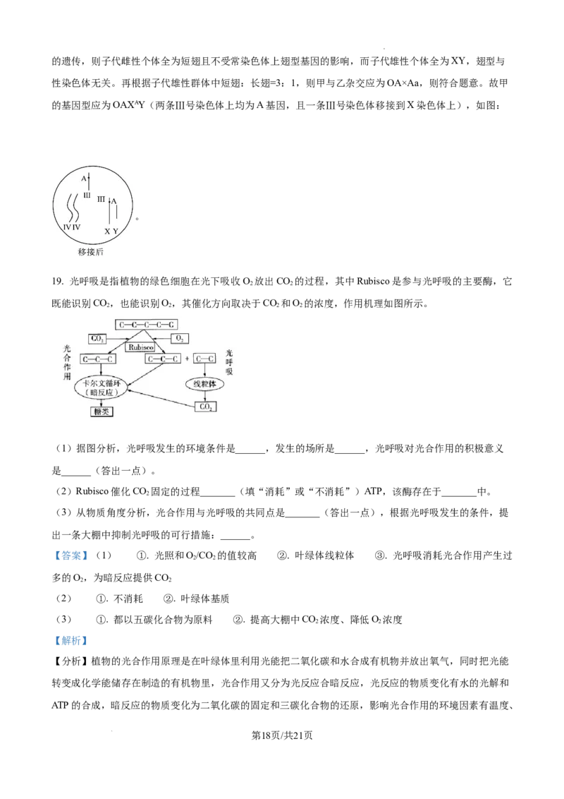精品解析：2025届江西省高三4月适应性统考生物学试卷（解析版）_2025年5月_2505272025年江西省普通高等学校招生统一考试模拟演练科试题卷