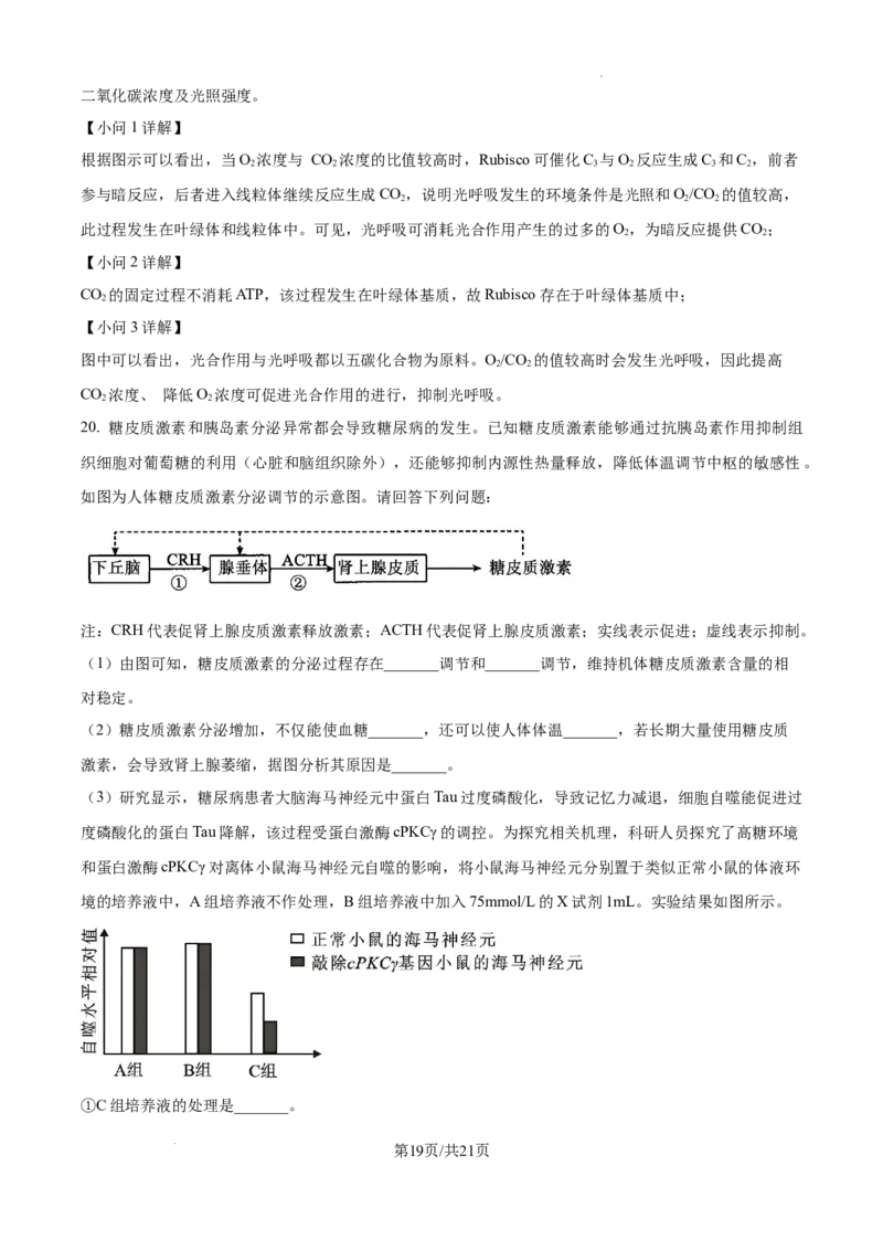 精品解析：2025届江西省高三4月适应性统考生物学试卷（解析版）_2025年5月_2505272025年江西省普通高等学校招生统一考试模拟演练科试题卷