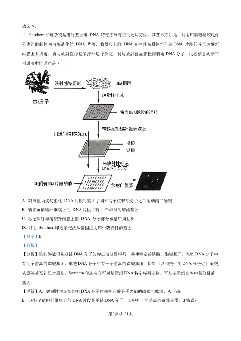 精品解析：2025届江西省高三4月适应性统考生物学试卷（解析版）_2025年5月_2505272025年江西省普通高等学校招生统一考试模拟演练科试题卷