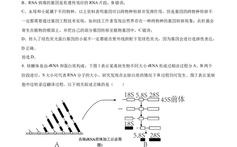 精品解析：2025届江西省高三4月适应性统考生物学试卷（解析版）_2025年5月_2505272025年江西省普通高等学校招生统一考试模拟演练科试题卷