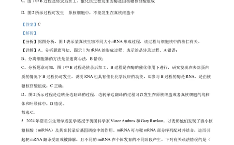 精品解析：2025届江西省高三4月适应性统考生物学试卷（解析版）_2025年5月_2505272025年江西省普通高等学校招生统一考试模拟演练科试题卷