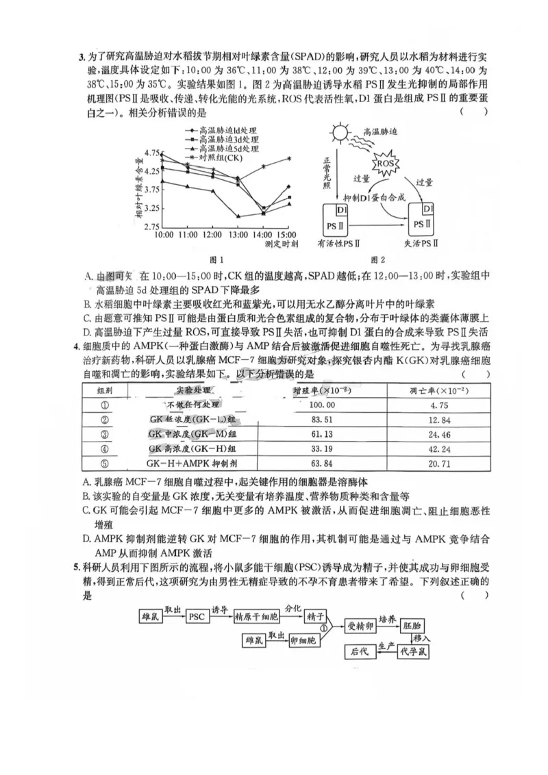 四川省巴中市普通高中2023级&ldquo;零诊&rdquo;模拟考试生物_2025年8月_250817四川省巴中市普通高中2023级&ldquo;零诊&rdquo;模拟考试_四川省巴中市2026届高三&ldquo;零诊&rdquo;模拟考试生物