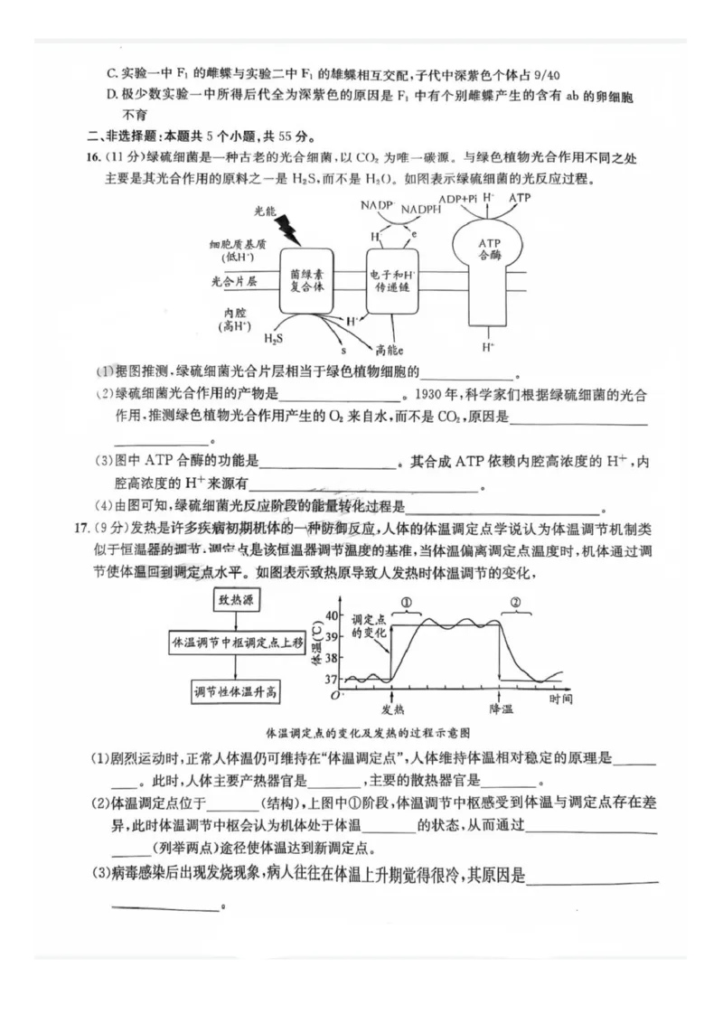 四川省巴中市普通高中2023级&ldquo;零诊&rdquo;模拟考试生物_2025年8月_250817四川省巴中市普通高中2023级&ldquo;零诊&rdquo;模拟考试_四川省巴中市2026届高三&ldquo;零诊&rdquo;模拟考试生物