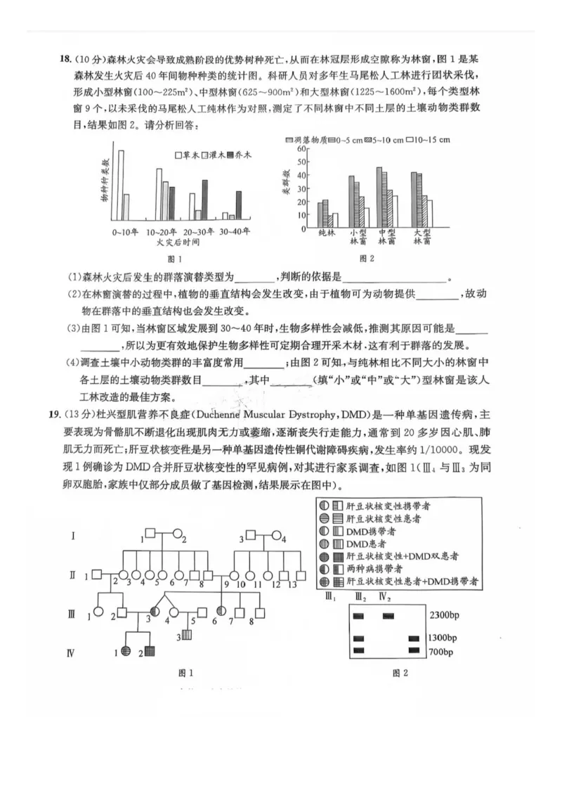 四川省巴中市普通高中2023级&ldquo;零诊&rdquo;模拟考试生物_2025年8月_250817四川省巴中市普通高中2023级&ldquo;零诊&rdquo;模拟考试_四川省巴中市2026届高三&ldquo;零诊&rdquo;模拟考试生物