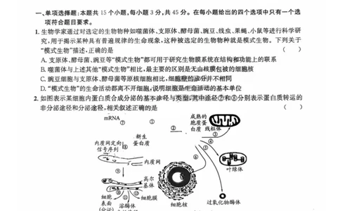 四川省巴中市普通高中2023级&ldquo;零诊&rdquo;模拟考试生物_2025年8月_250817四川省巴中市普通高中2023级&ldquo;零诊&rdquo;模拟考试_四川省巴中市2026届高三&ldquo;零诊&rdquo;模拟考试生物