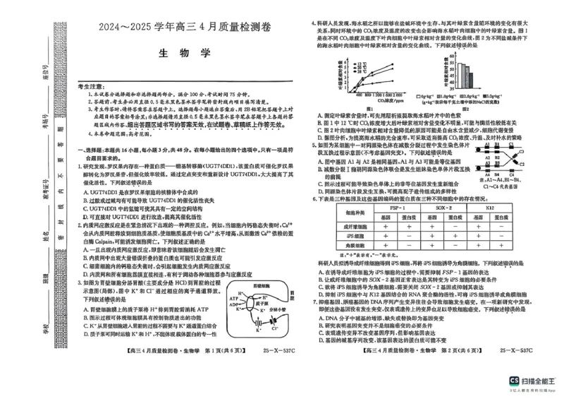 山西省晋中市部分学校2024-2025学年高三下学期4月月考生物试题_2025年4月_250408山西三晋卓越联盟2025届高三4月质量检测卷25-X-537C_2025届山西三晋卓越联盟高三4月联考生物