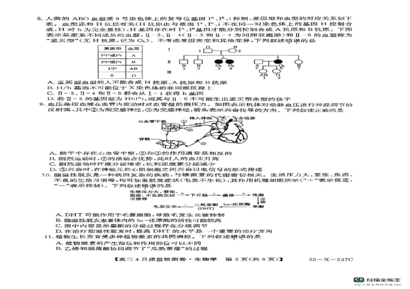 山西省晋中市部分学校2024-2025学年高三下学期4月月考生物试题_2025年4月_250408山西三晋卓越联盟2025届高三4月质量检测卷25-X-537C_2025届山西三晋卓越联盟高三4月联考生物