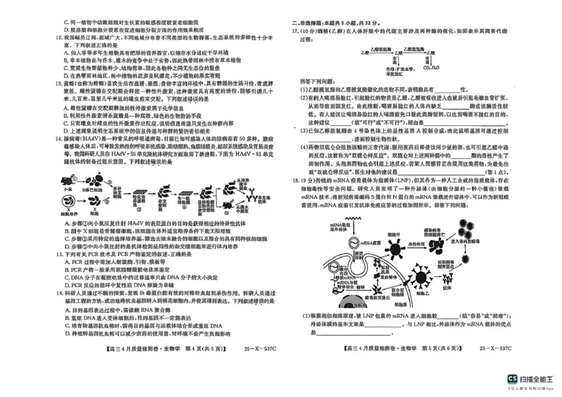 山西省晋中市部分学校2024-2025学年高三下学期4月月考生物试题_2025年4月_250408山西三晋卓越联盟2025届高三4月质量检测卷25-X-537C_2025届山西三晋卓越联盟高三4月联考生物