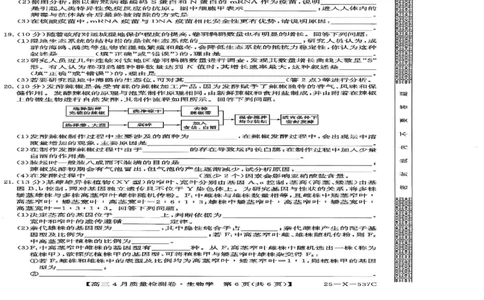 山西省晋中市部分学校2024-2025学年高三下学期4月月考生物试题_2025年4月_250408山西三晋卓越联盟2025届高三4月质量检测卷25-X-537C_2025届山西三晋卓越联盟高三4月联考生物